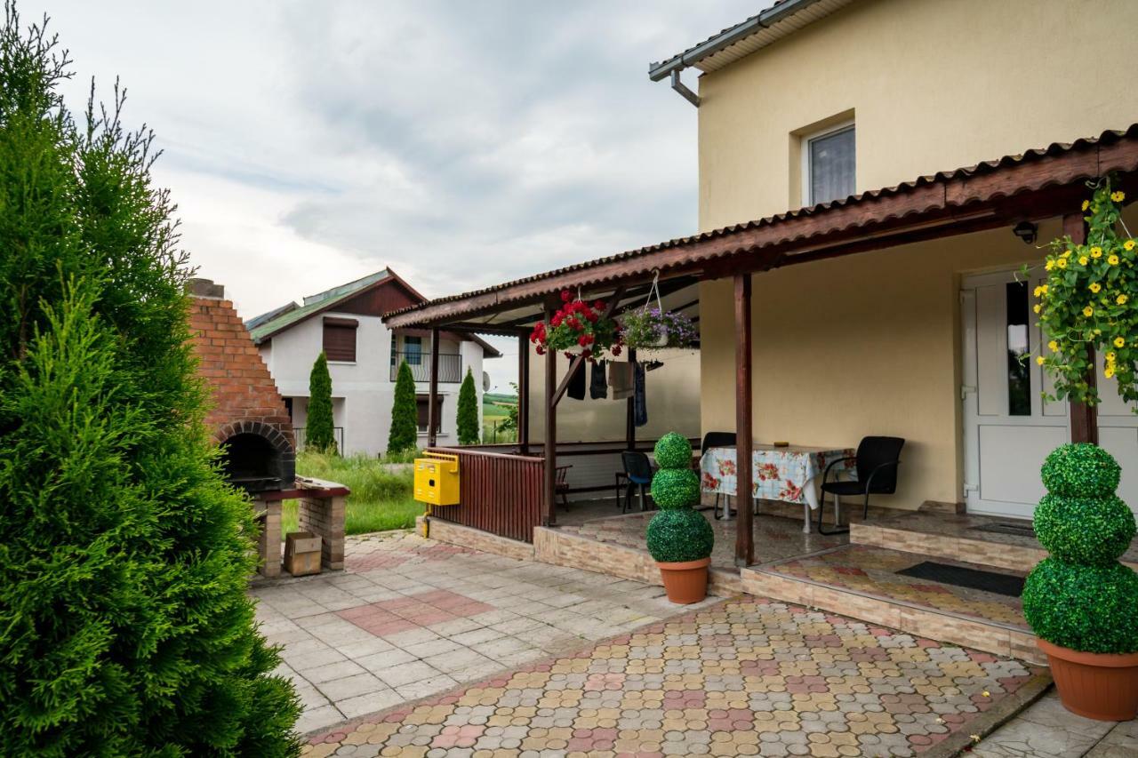 Pensiunea Elena Tasnad Exterior foto